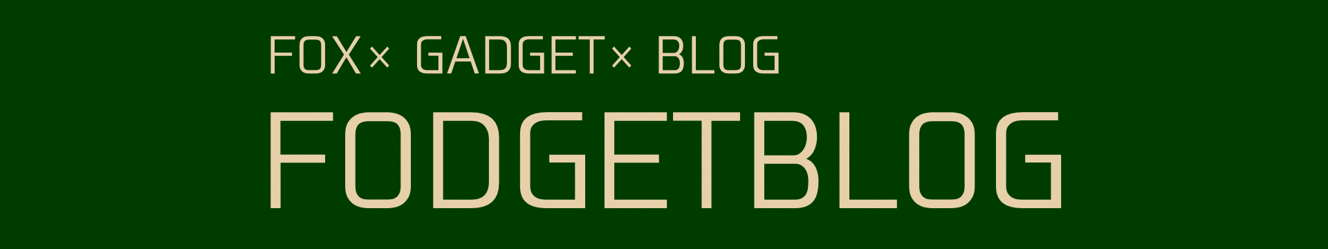 FODGETBLOG